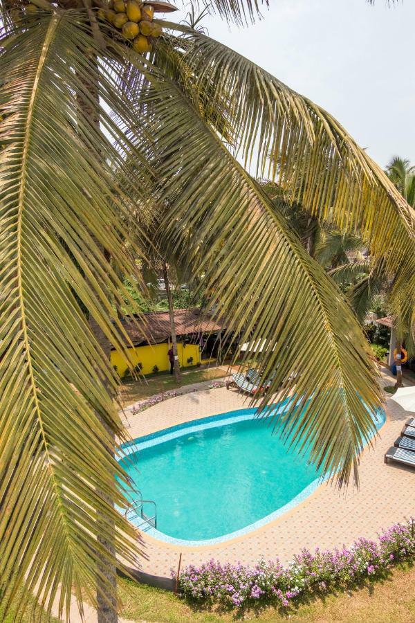 Dona Julia Beach Resort Калангут Экстерьер фото